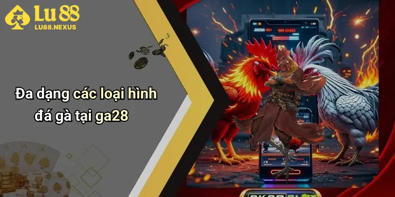 Đa dạng các loại hình đá gà tại ga28