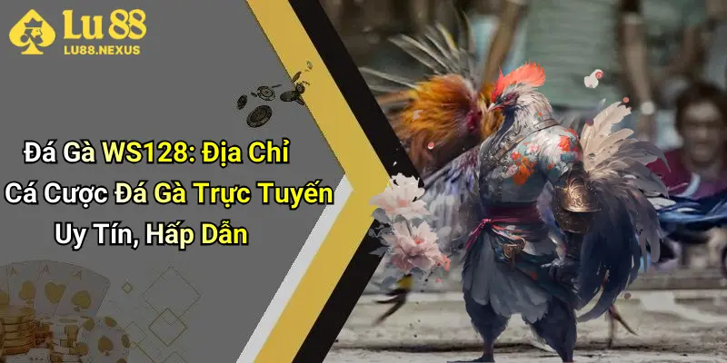 Đá Gà WS128: Địa Chỉ Cá Cược Đá Gà Trực Tuyến Uy Tín, Hấp Dẫn