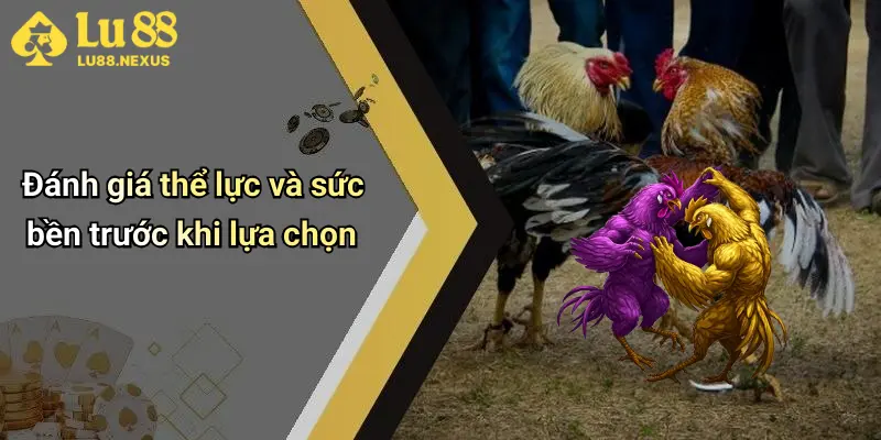 Đánh giá thể lực và sức bền trước khi lựa chọn