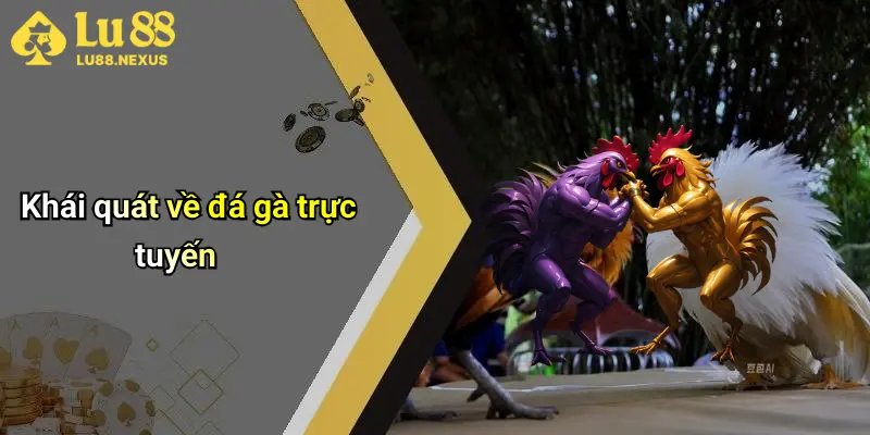 Khái quát về đá gà trực tuyến