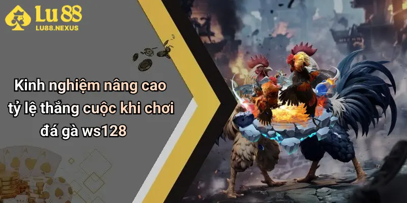 Kinh nghiệm nâng cao tỷ lệ thắng cuộc khi chơi đá gà ws128