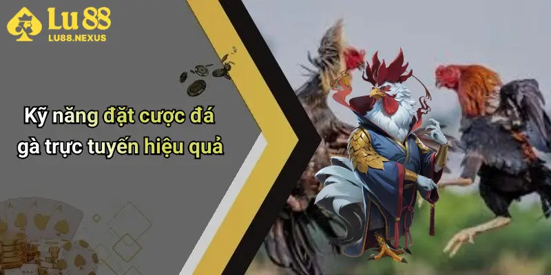Kỹ năng đặt cược đá gà trực tuyến hiệu quả