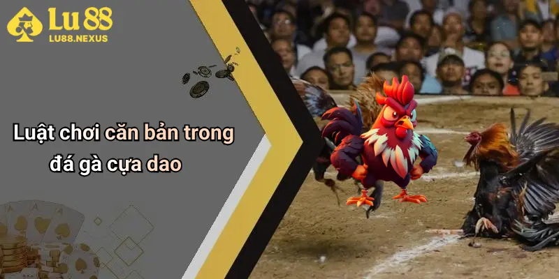 Luật chơi căn bản trong đá gà cựa dao