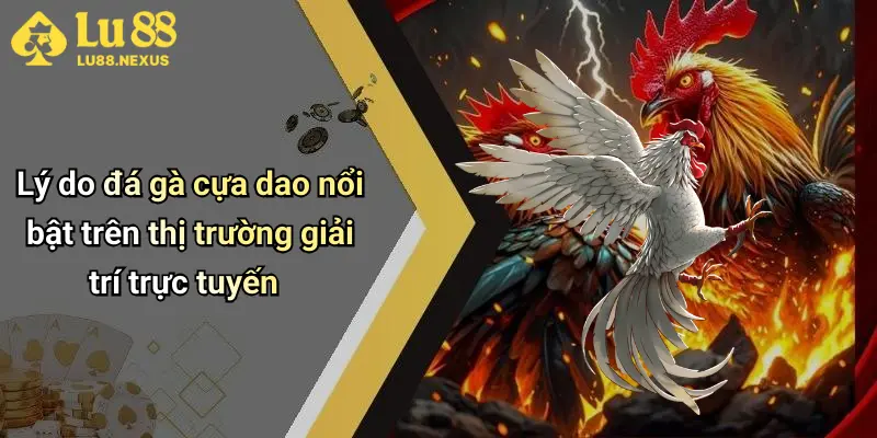 Lý do đá gà cựa dao nổi bật trên thị trường giải trí trực tuyến