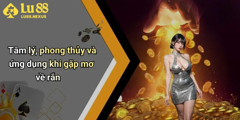 Tâm lý, phong thủy và ứng dụng khi gặp mơ về rắn